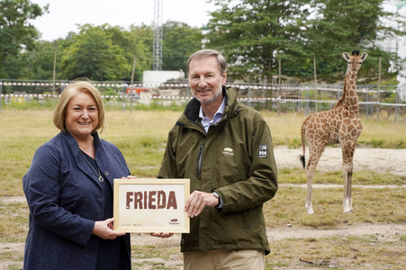 Namensgebung für Giraffennachwuchs im Tierpark Berlin