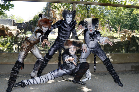 Fototermin mit den Jellicle-Cats aus dem Musical 'Cats' in Berlin