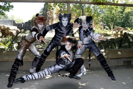 Fototermin mit den Jellicle-Cats aus dem Musical 'Cats' in Berlin
