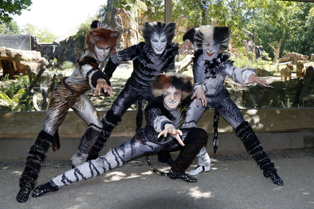 Fototermin mit den Jellicle-Cats aus dem Musical 'Cats' in Berlin