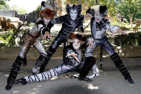 Fototermin mit den Jellicle-Cats aus dem Musical 'Cats' in Berlin