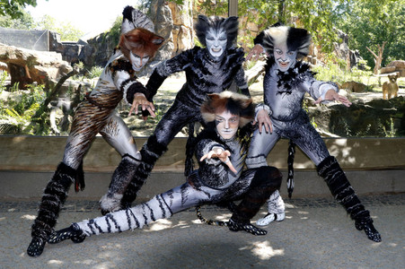 Fototermin mit den Jellicle-Cats aus dem Musical 'Cats' in Berlin