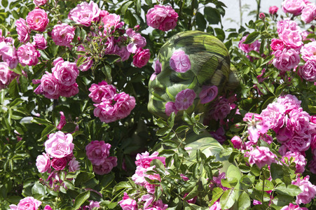 NATURE ART: Rosen / Roses Bodypainting
