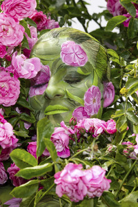NATURE ART: Rosen / Roses Bodypainting
