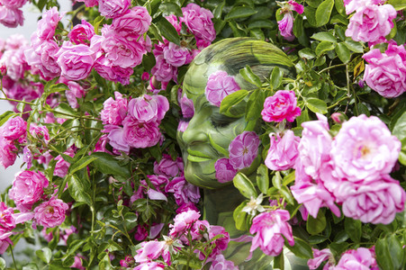 NATURE ART: Rosen / Roses Bodypainting
