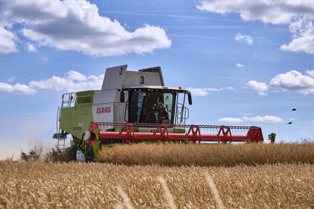 Rapsernte in Ottenstein