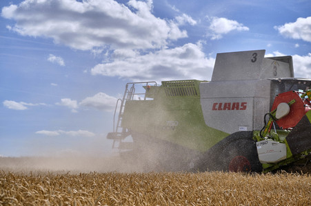 Rapsernte in Ottenstein