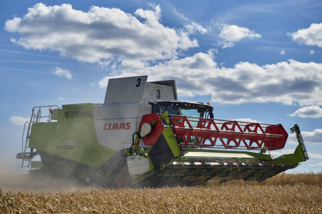 Rapsernte in Ottenstein