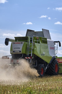 Rapsernte in Ottenstein