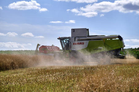 Rapsernte in Ottenstein