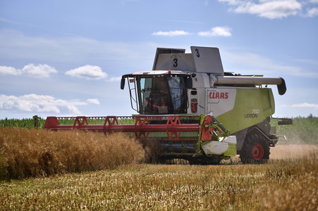 Rapsernte in Ottenstein