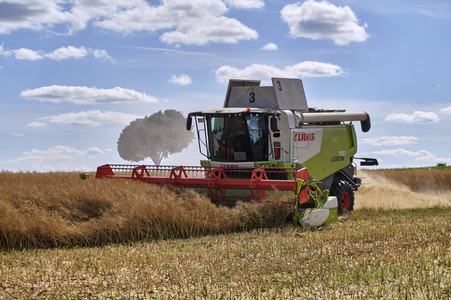 Rapsernte in Ottenstein