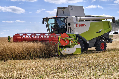 Rapsernte in Ottenstein