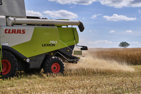 Rapsernte in Ottenstein