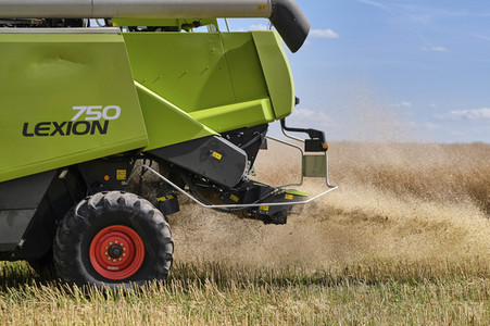 Rapsernte in Ottenstein