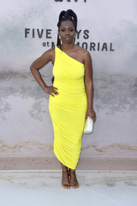 Serienpremiere 'Memorial Hospital - Die Tage nach Hurrikan Katrina' in Los Angeles