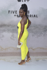 Serienpremiere 'Memorial Hospital - Die Tage nach Hurrikan Katrina' in Los Angeles