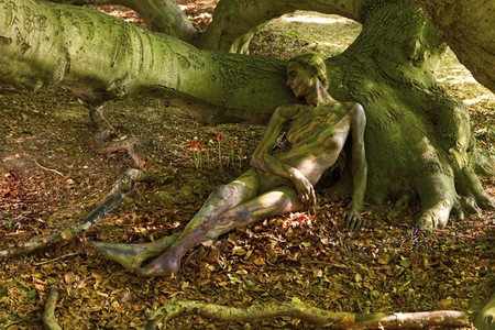 NATURE ART: Buchen / Beeches Bodypainting