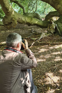 NATURE ART: Buchen / Beeches Bodypainting