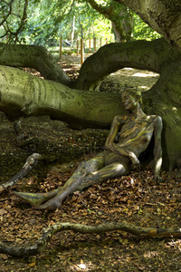 NATURE ART: Buchen / Beeches Bodypainting