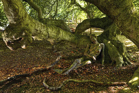 NATURE ART: Buchen / Beeches Bodypainting