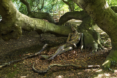 NATURE ART: Buchen / Beeches Bodypainting