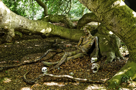 NATURE ART: Buchen / Beeches Bodypainting