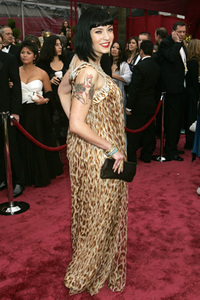 Oscar-Verleihung 2008 in Los Angeles