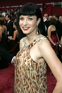 Oscar-Verleihung 2008 in Los Angeles