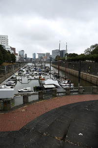 Niedrigwasser am Rhein in Düsseldorf