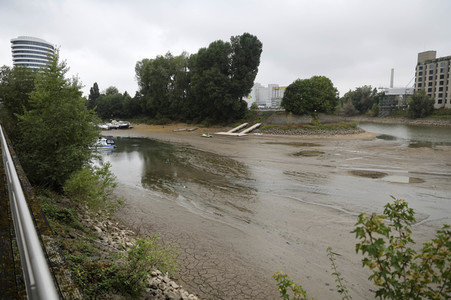 Niedrigwasser am Rhein in Düsseldorf