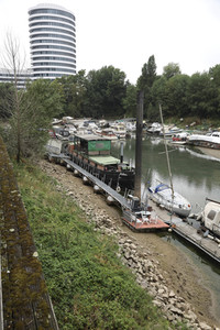 Niedrigwasser am Rhein in Düsseldorf
