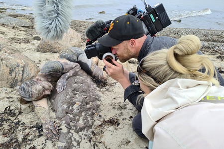 NATURE ART: Ostseestrand / Baltic Sea Beach Bodypainting