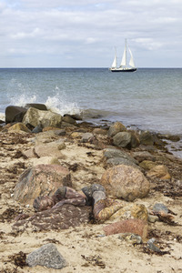 NATURE ART: Ostseestrand / Baltic Sea Beach Bodypainting