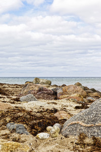 NATURE ART: Ostseestrand / Baltic Sea Beach Bodypainting