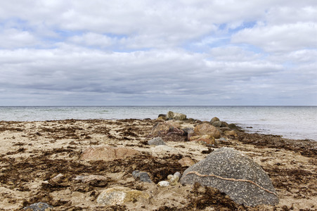 NATURE ART: Ostseestrand / Baltic Sea Beach Bodypainting