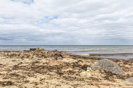 NATURE ART: Ostseestrand / Baltic Sea Beach Bodypainting