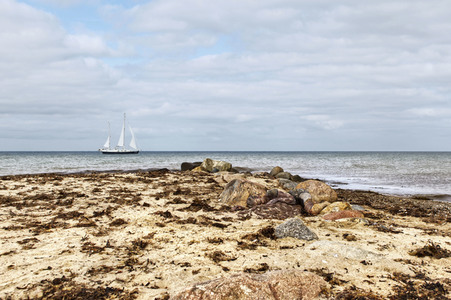 NATURE ART: Ostseestrand / Baltic Sea Beach Bodypainting
