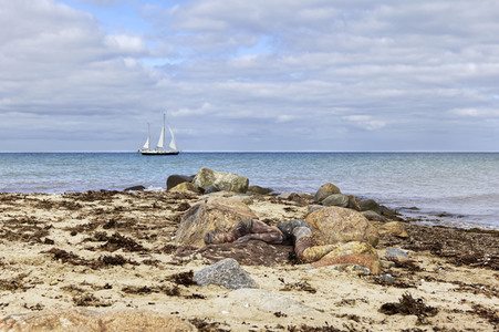 NATURE ART: Ostseestrand / Baltic Sea Beach Bodypainting
