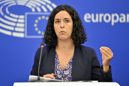 Pressebriefing der Fraktion Die Linke im EU-Parlament in Straßburg