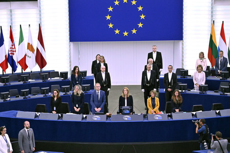 Plenartagung zur EU-Waldstrategie für 2030 im EU-Parlament in Straßburg