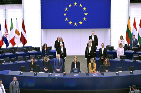 Plenartagung zur EU-Waldstrategie für 2030 im EU-Parlament in Straßburg
