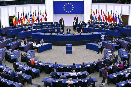 Plenartagung zur EU-Waldstrategie für 2030 im EU-Parlament in Straßburg