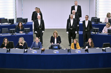 Plenartagung zur EU-Waldstrategie für 2030 im EU-Parlament in Straßburg