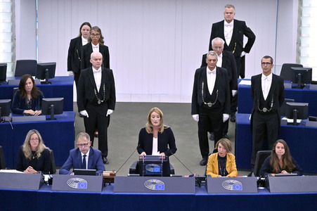Plenartagung zur EU-Waldstrategie für 2030 im EU-Parlament in Straßburg