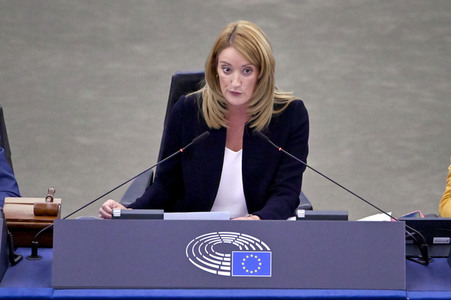 Plenartagung zur EU-Waldstrategie für 2030 im EU-Parlament in Straßburg