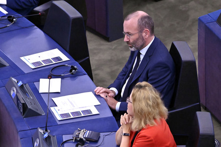 Plenartagung zur EU-Waldstrategie für 2030 im EU-Parlament in Straßburg