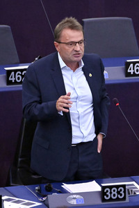 Plenartagung zur EU-Waldstrategie für 2030 im EU-Parlament in Straßburg