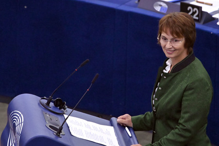 Plenartagung zur EU-Waldstrategie für 2030 im EU-Parlament in Straßburg
