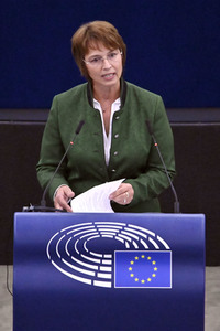 Plenartagung zur EU-Waldstrategie für 2030 im EU-Parlament in Straßburg